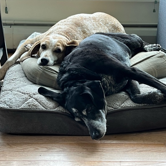 Meet your Posher, Toni - Picture 2 of 3